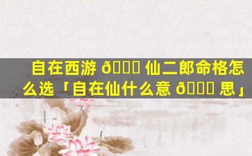 自在西游 🍁 仙二郎命格怎么选「自在仙什么意 🐞 思」